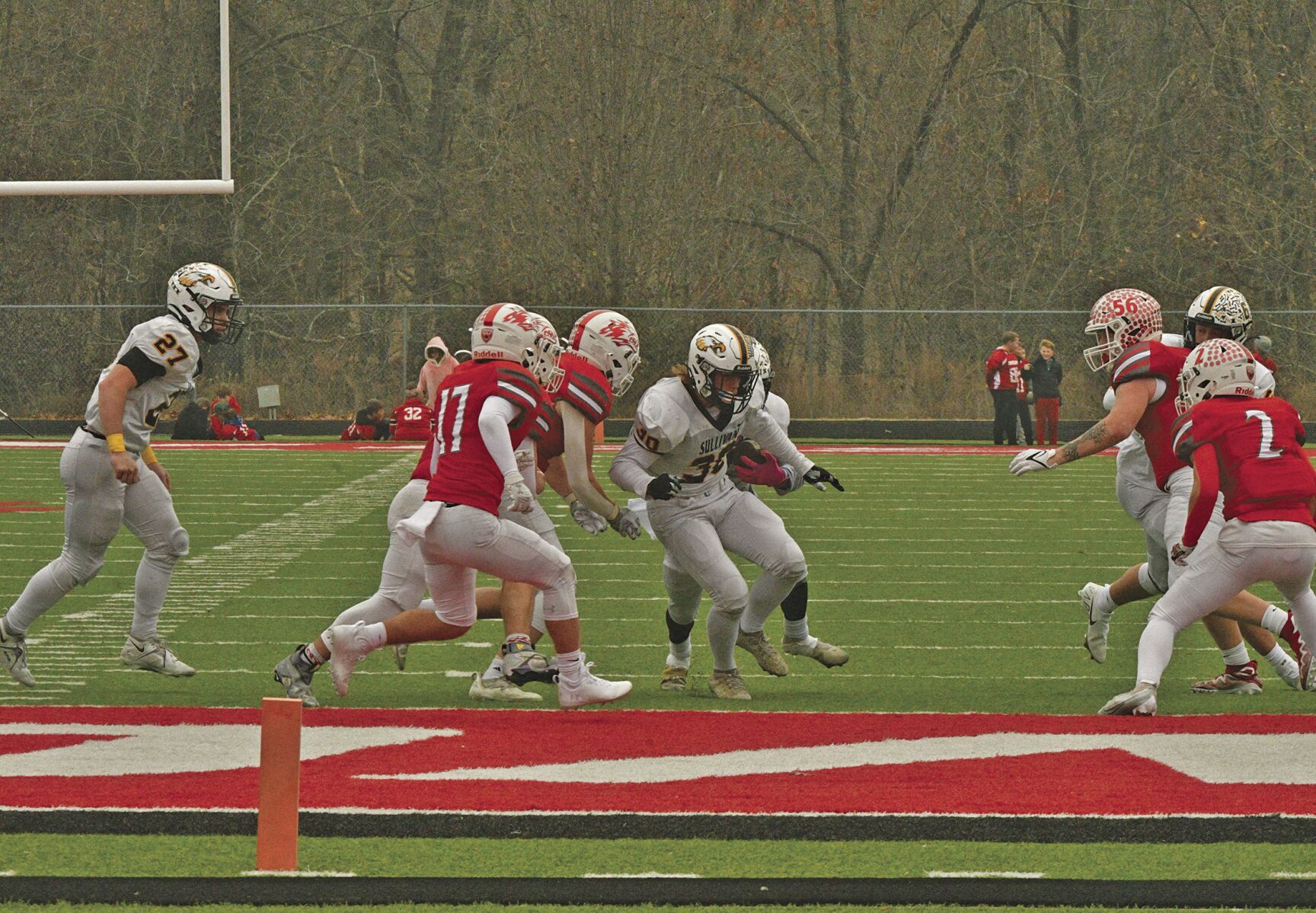 Reeds Spring 14.jpg